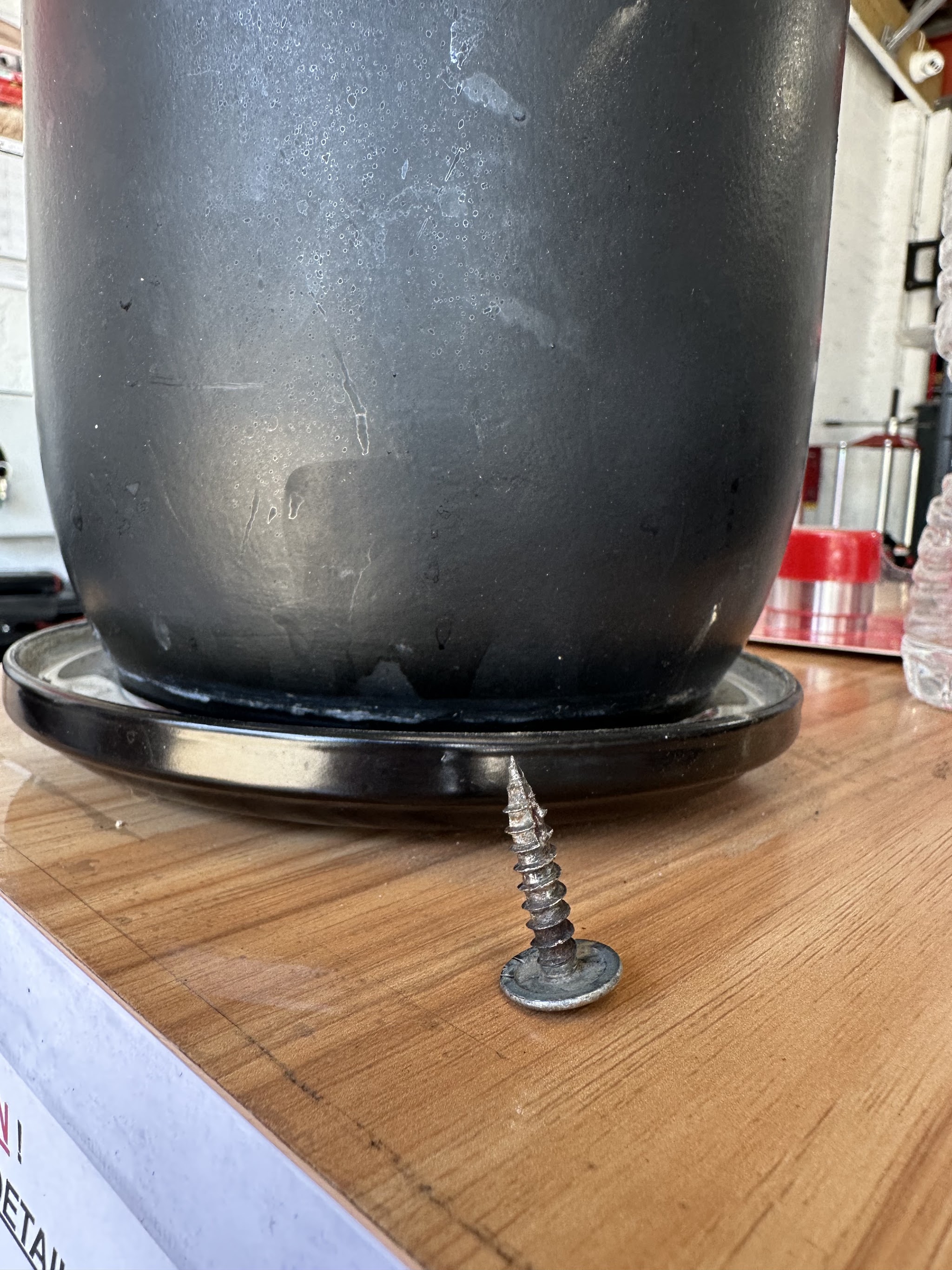 The screw pulled out of a customer's tyre, on the workshop counter